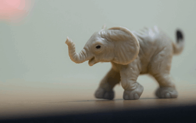 Justiça Tributária Já: entidades lançam projeto para pressionar aprovação da reforma do IR