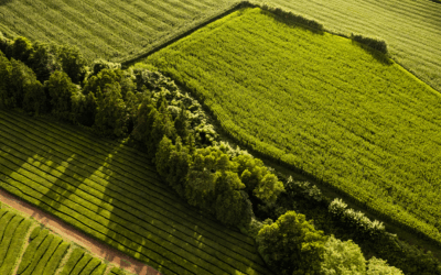 Receita já recebeu 1,87 mi de declarações do ITR 2025
