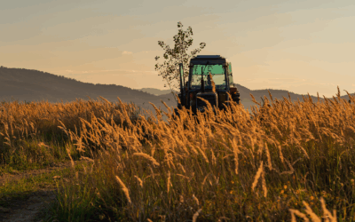 ITR 2025: Receita registra 1,3 milhão de entregas