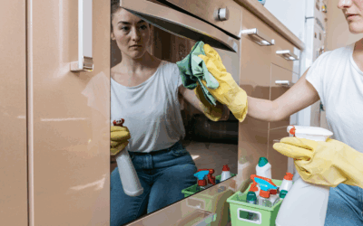 MTE notificará 80 mil empregadores sobre FGTS de trabalhador doméstico