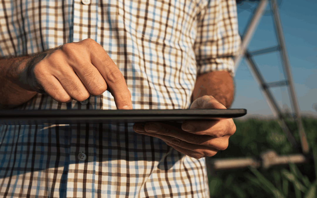 Painel do ITR 2025 amplia transparência da Receita Federal