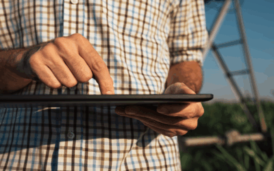 Painel do ITR 2025 amplia transparência da Receita Federal