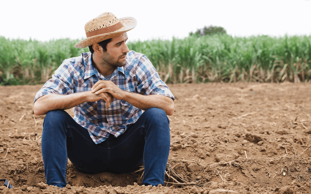 Receita Federal nega criação de malha fina no ITR