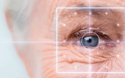 ANPD torna obrigatória a aferição de idade online