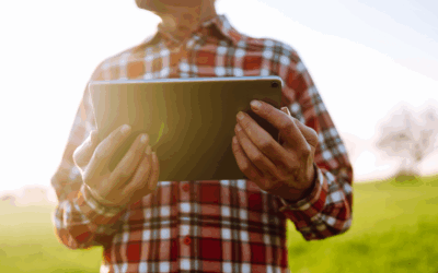 Programa Desenrola Rural ultrapassa R$ 11,9 bilhões em renegociações