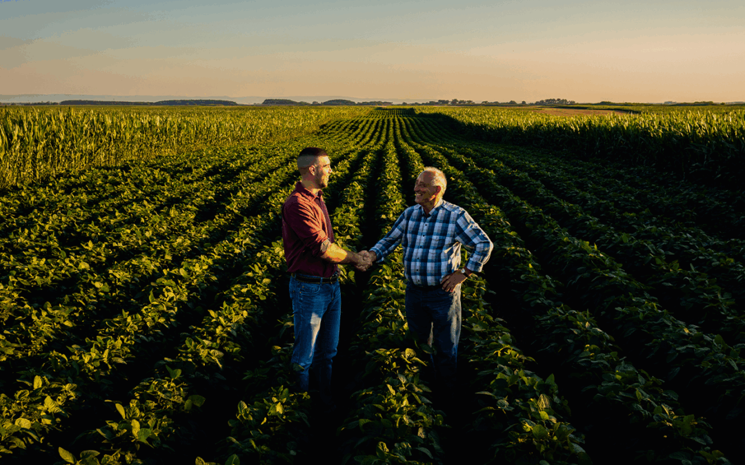 Mudanças na NF-e agropecuária são adiadas para março de 2026