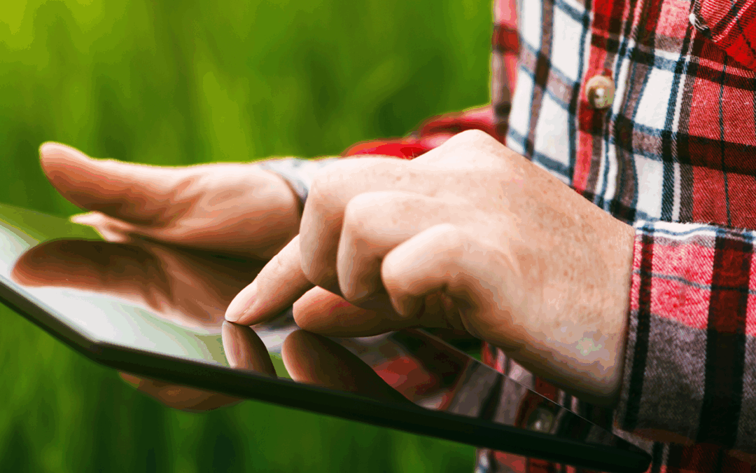 RFB recebe quase 6 milhões de DITR 2025