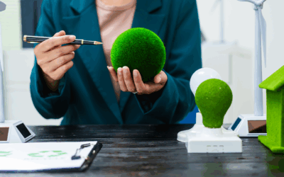 COP30: contadores terão papel-chave na economia verde da Amazônia