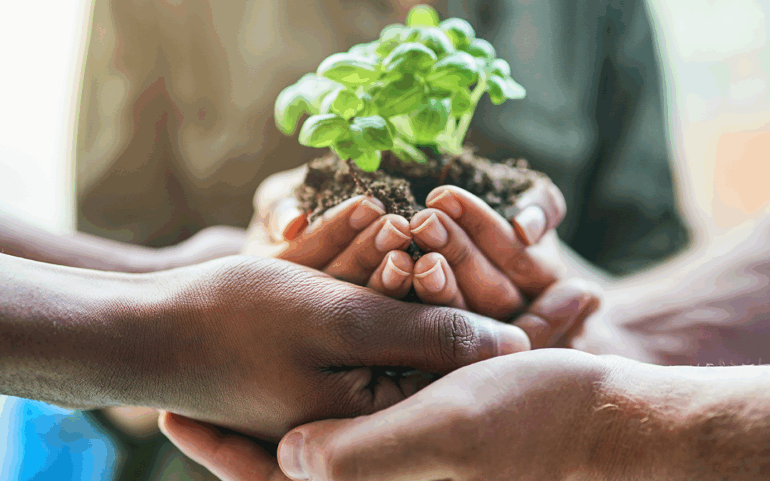 COP30: quando a economia encontra a ecologia