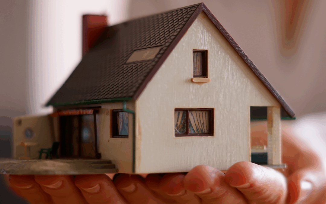 Holding Patrimonial: oportunidades estratégicas para contadores e advogados