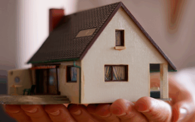 Holding Patrimonial: oportunidades estratégicas para contadores e advogados