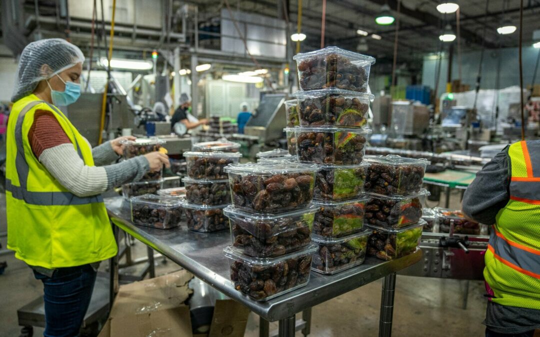 Emprego Temporário: vagas crescem 500 mil em fim de ano