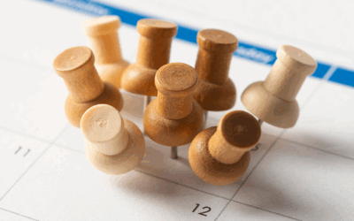 Quando cai o 5º dia útil de novembro? Confira data