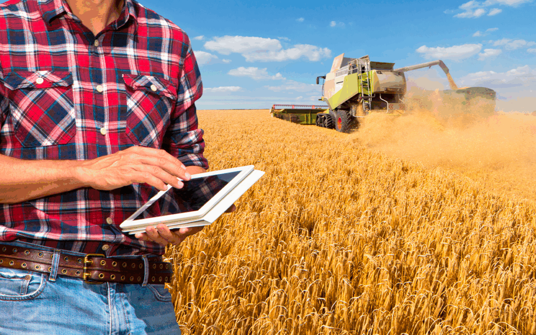 RFB convoca contribuintes para autorregularização do imposto de arrendamentos rurais