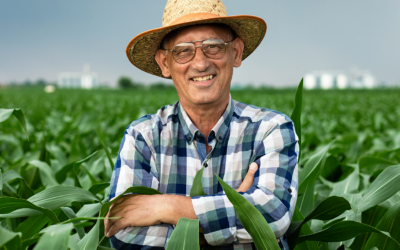 Receita Federal orienta produtores rurais sobre autorregularização