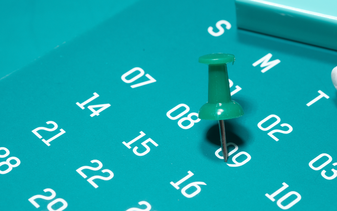 Fim de ano: descubra quais dias são feriados garantidos em dezembro e janeiro