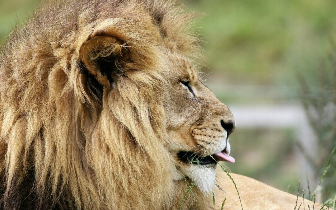 Aquecimento para o IRPF 2026: prepare-se para a entrega do ano