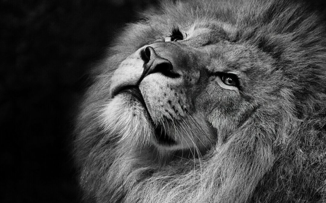 IR: 5 mitos que ainda confundem contribuintes