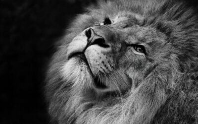 IR: 5 mitos que ainda confundem contribuintes