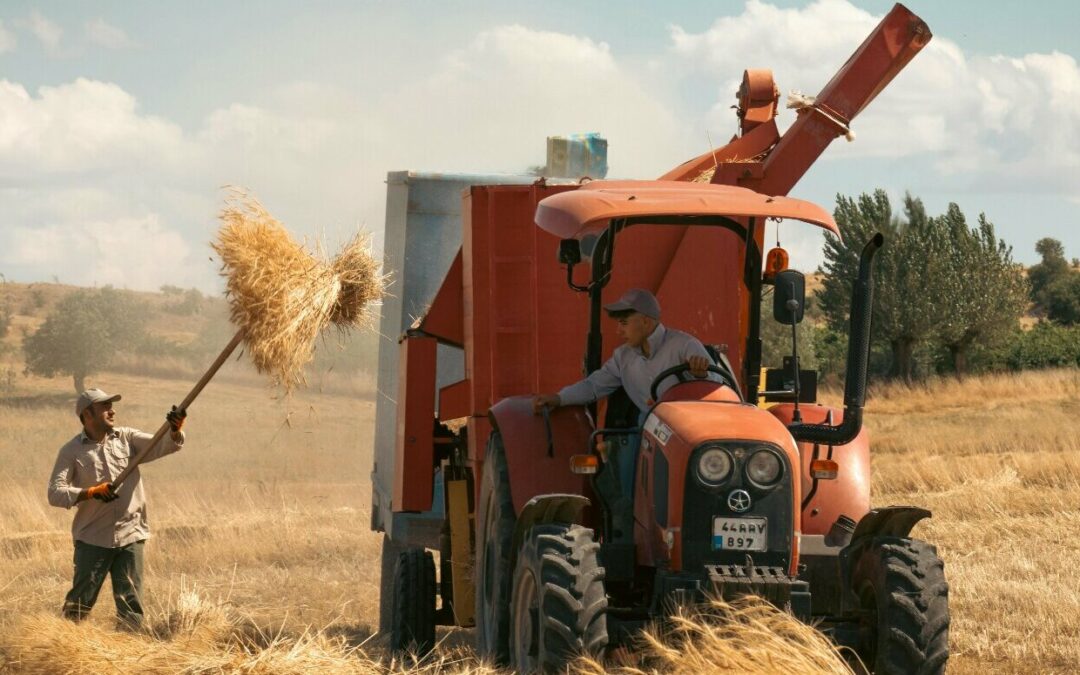 Produtor Rural: CNPJ é obrigatório com IBS e CBS?