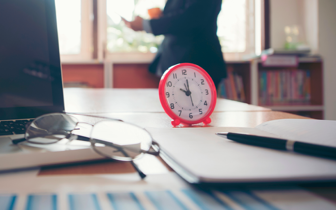 PEPC: prazo para prestação de contas de 2025 termina em 31 de janeiro