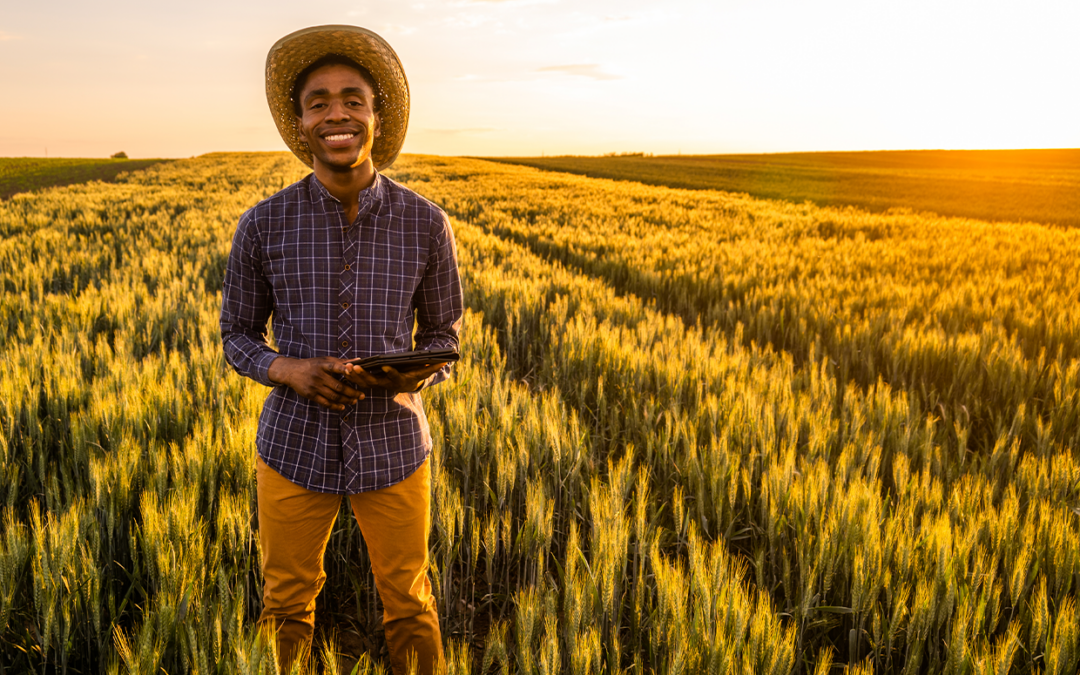 Reforma tributária pode alterar a formação de preços no agronegócio