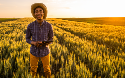 Reforma tributária pode alterar a formação de preços no agronegócio