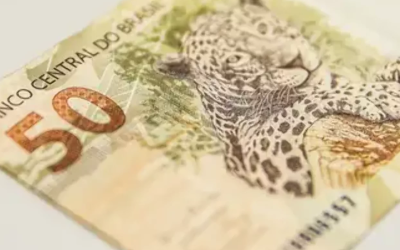 Última remuneração informada: o que é e como declarar corretamente