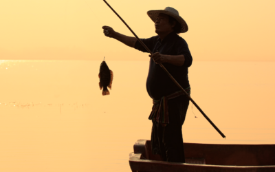 Relatório sobre novas regras do seguro-defeso é adiado