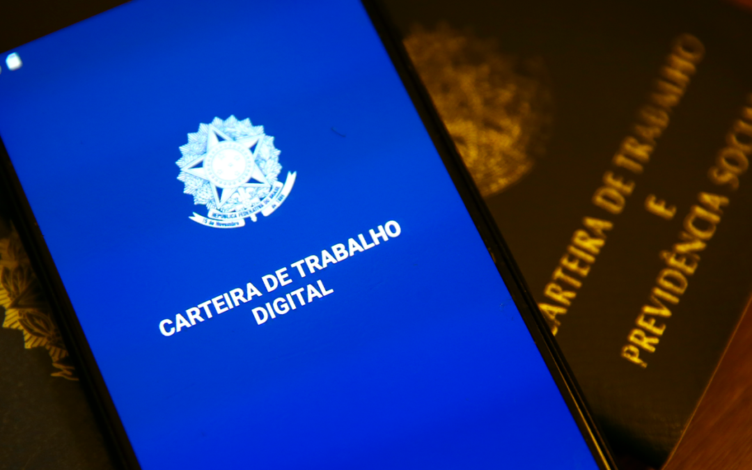 Regime celetista e estatutário: veja diferenças e regras