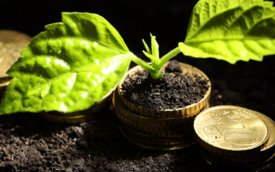 Falta de definição sobre créditos de carbono preocupa empresas na reforma tributária