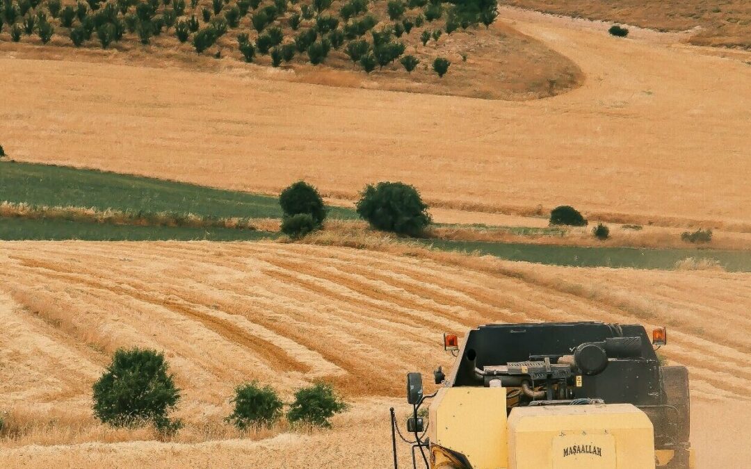 Crédito Rural: MP de Renegociação da Dívida do Agronegócio