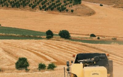 Crédito Rural: MP de Renegociação da Dívida do Agronegócio